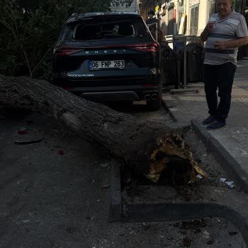 Tan Oto Ve Sigorta Kaskosu Tarafından Uzun Süreli Araç Tamiri Sürecinde İletişim Eksikliği