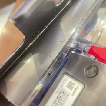 Hasarlı Ambalaj Ve Kullanılmış Dyson Anti-Tangle Mini Motorhead Başlığı