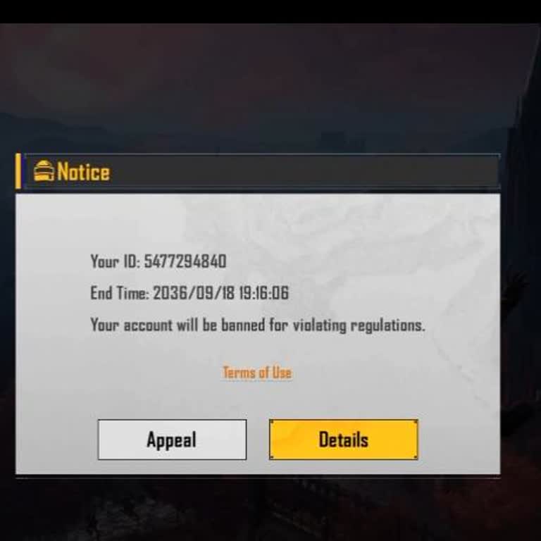 Unban My Account, See the Efforts and Investment of Players