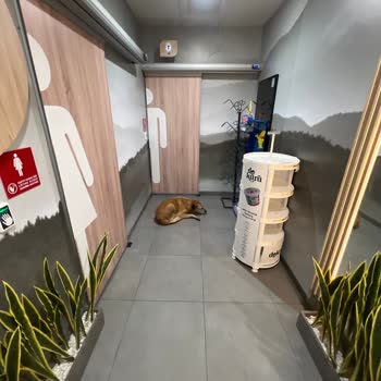 Petrol Ofisi Tuvalet Koridorunda Köpek, Panik Atak Yarattı