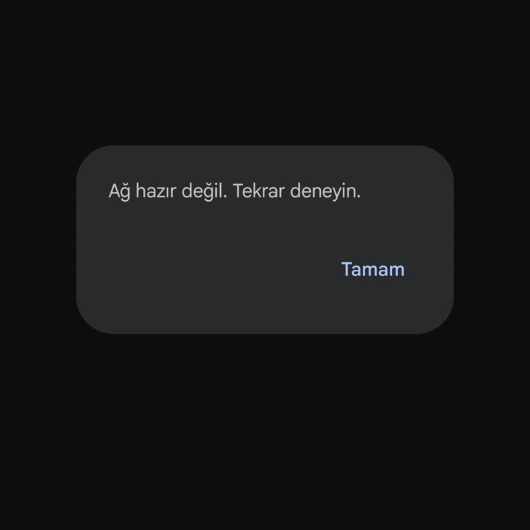 SMS Gönderemiyorum: Numara Taşıma Sonrası Ağ Hazır Değil