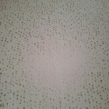 Kumaş Desenleri Temizlikle Siliniyor, Değişim Reddi Güveni Sarsıyor