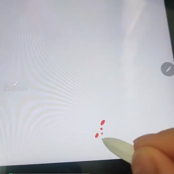 Samsung Galaxy S10 Fe Tablet Sağ Alt Köşede Sıkıntı!