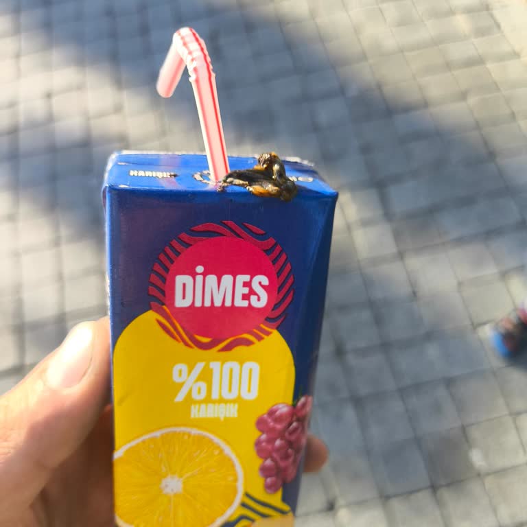 Çocuğumun İçtiği Meyve Suyu İçinde Siyah Yabancı Madde