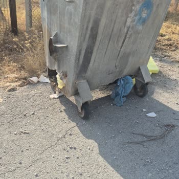 Yozgat Sorgun Yenidoğan Mahallesi Kırık Çöp Konteyneri İçin Acil Yeni Kapaklı Çözüm Talebi
