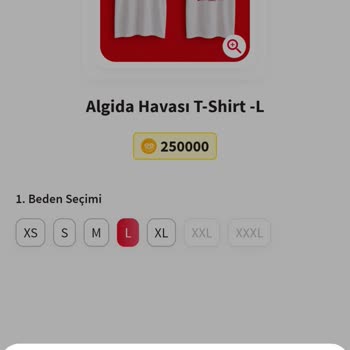 Algida Havası Kampanyasında Puanla Ürün Alınamıyor Ve Stok Hatası