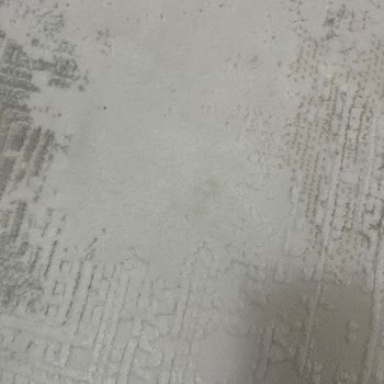 Geciken Teslimat, Kirli Halılar Ve Saygısız Yaklaşım