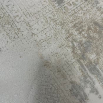Geciken Teslimat, Kirli Halılar Ve Saygısız Yaklaşım