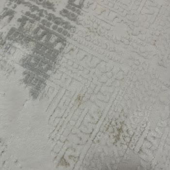 Geciken Teslimat, Kirli Halılar Ve Saygısız Yaklaşım