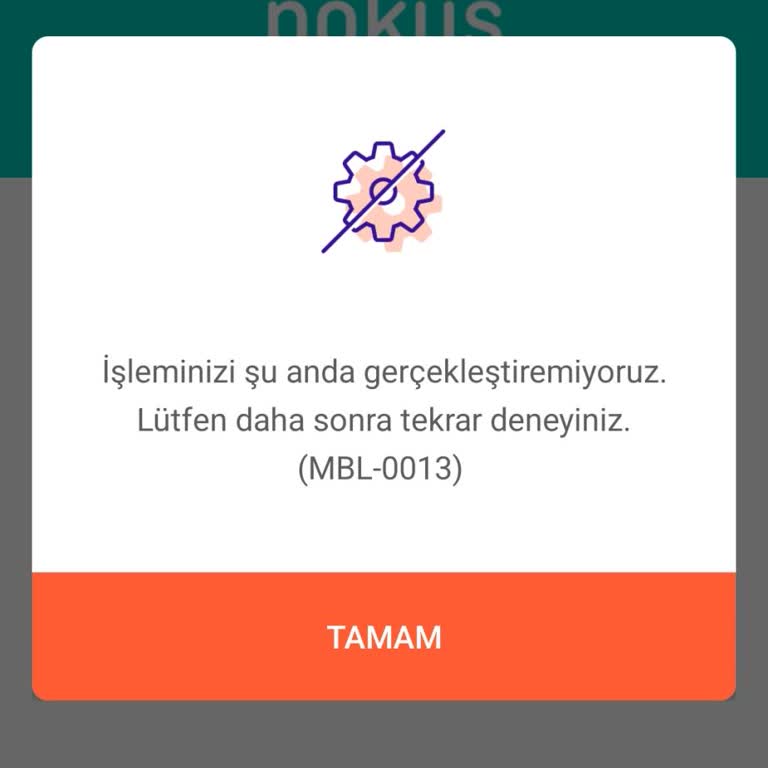 Pokus Uygulamasında Mbl-0013 Hatası Ve Giriş Sorunu