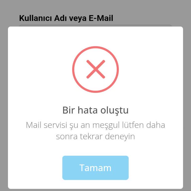 Şifre Sıfırlama Maili Gönderilemedi