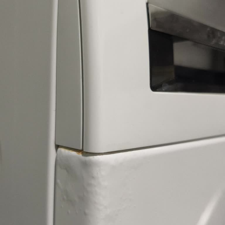 Bosch Çamaşır Makinesinde Boya Kabarması Ücret Talebi Reddi