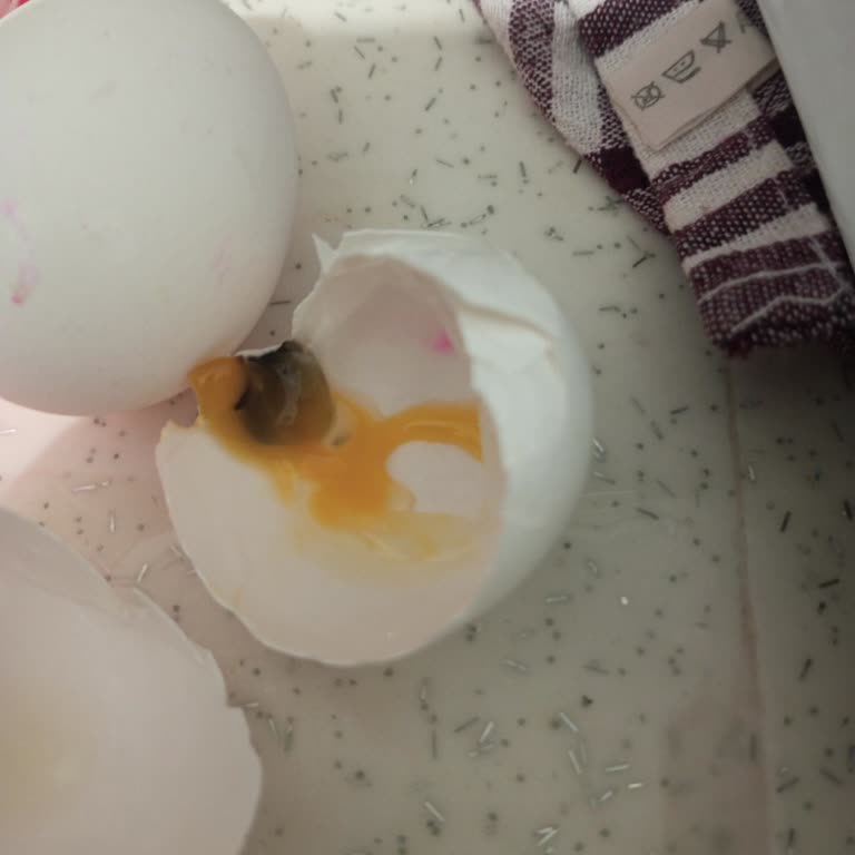 BİM'de Bozulmuş Yumurta Satın Almanın Sağlık Riski