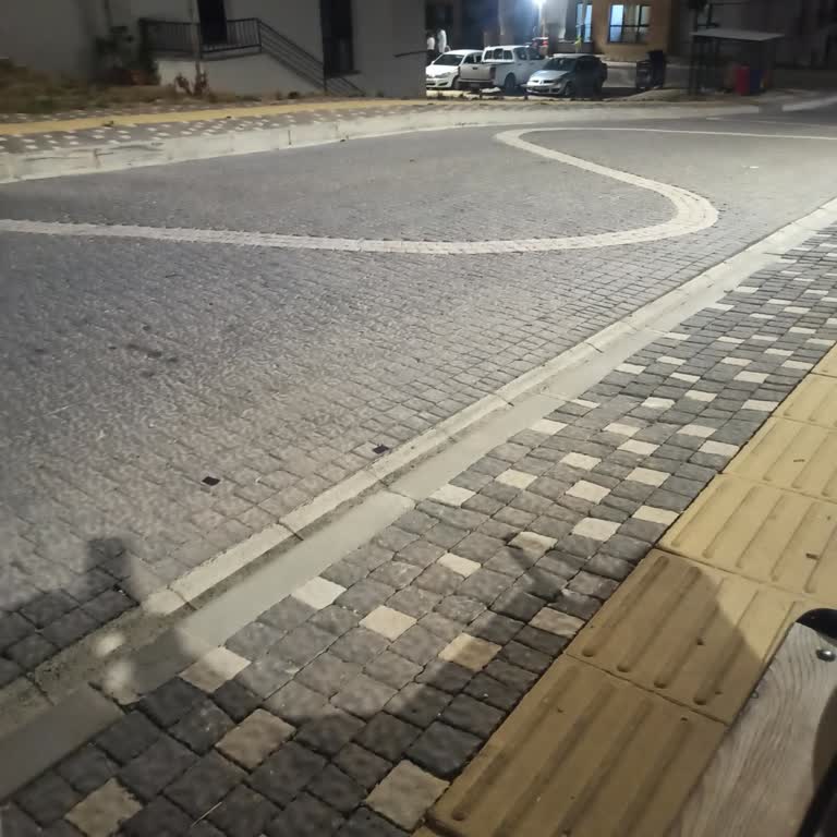 Hamile Yolcunun Araçta Alınmaması