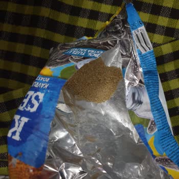 Migros Aşırı Tuzlu Ay Çekirdeği Ürününün İncelenmesi Ve Sağlık Riski