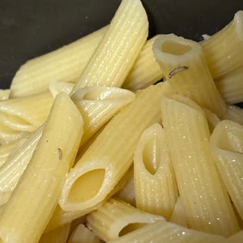 Pastavilla Penne’de Böcek Keşfi Güvenimi Sarsıyor