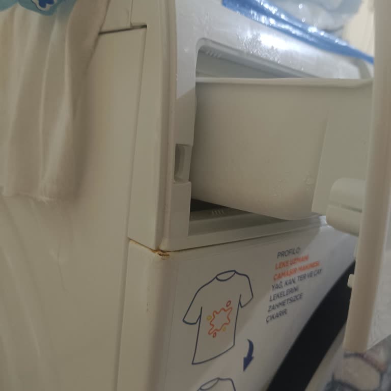 Deterjan Gözünden Kaynaklanan Paslı Ön Sac Ve Garanti Talebi