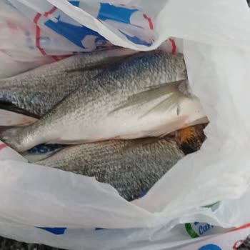 CarrefourSA'dan Eksik Balık Teslimatı Ve Yetersiz Çözüm