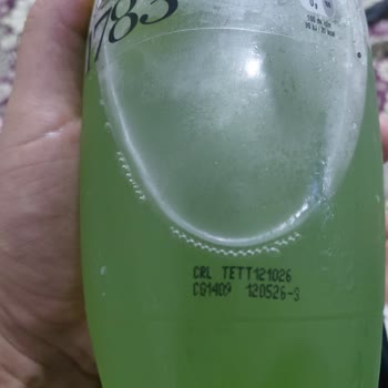 Schweppes Markalı Bitter Şişesinde Küf Benzeri Cisimler Görüldü