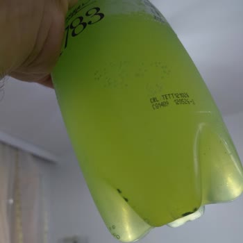 Schweppes Markalı Bitter Şişesinde Küf Benzeri Cisimler Görüldü