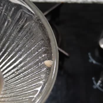 Lavi Şeftalili Meyve Suyunda Plastik Parça Keşfi Sağlık Korkusuna Neden Oldu