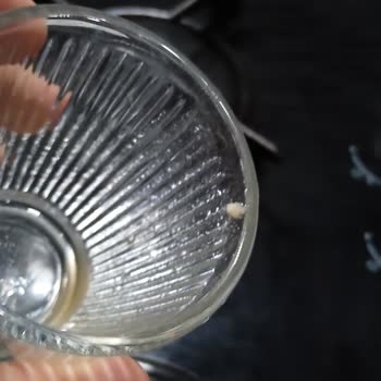 Lavi Şeftalili Meyve Suyunda Plastik Parça Keşfi Sağlık Korkusuna Neden Oldu
