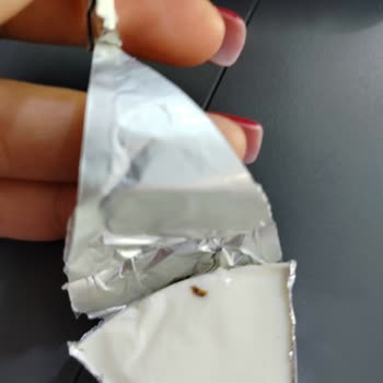 La Vache Qui Rit Peynirinde Yabancı Madde Ve Gıda Güvenliği Endişesi