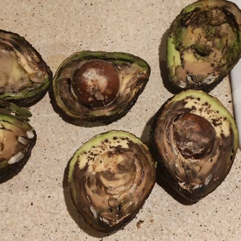 Migros Avokado Ürünlerinde Bozulmuş Satış Şikayeti