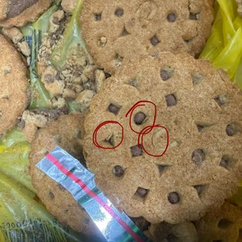 Ülker Probis’te Yabancı Madde Şoku: Sağlık Ve Hijyen Riski