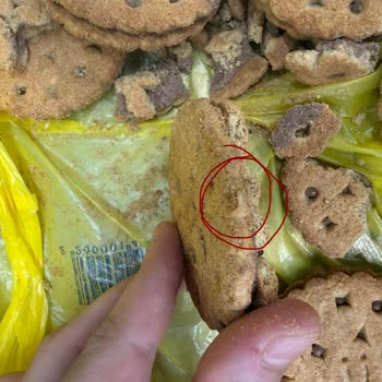 Ülker Probis’te Yabancı Madde Şoku: Sağlık Ve Hijyen Riski
