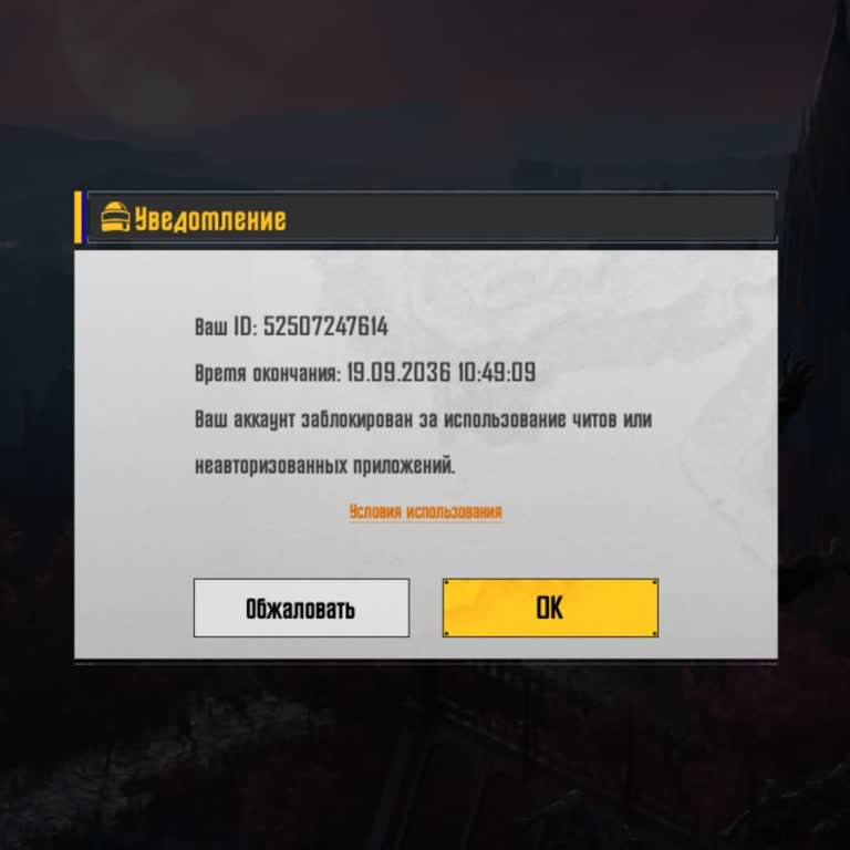 PUBG Mobile заблокировал аккаунт до 2036 года без объяснения причины