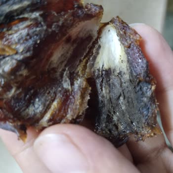 Çocuğumun Sağlığını Tehlikeye Atan Bozulmuş Simbat Hurma
