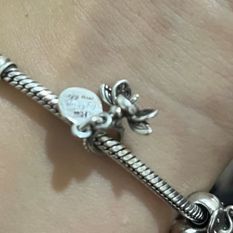 Pandora Charmım Aniden Kırıldı Ve Hızlı Çözüm Bekliyorum