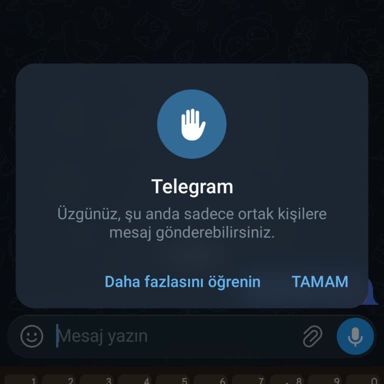 Telegram Hesabımda Haksız Mesaj Engeli 40 Gün Boyunca
