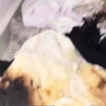 Samsung Çamaşır Makinesinin Bekleme Modunda Kendiliğinden Alev Alması