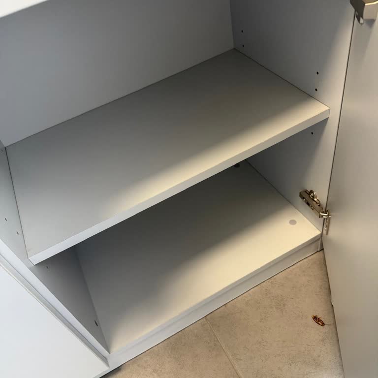 Böcekli Oda Ve Hijyen İhmali Kızımın Mağduriyeti Ve Ücret İadesi Talebi