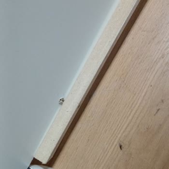 Hamile Kadının Kırık Yatak Ve Böceklenme Nedeniyle Sağlık Riski Ve Mobilya Teslimatı Sorunu