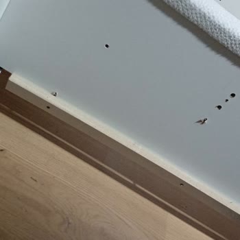 Hamile Kadının Kırık Yatak Ve Böceklenme Nedeniyle Sağlık Riski Ve Mobilya Teslimatı Sorunu