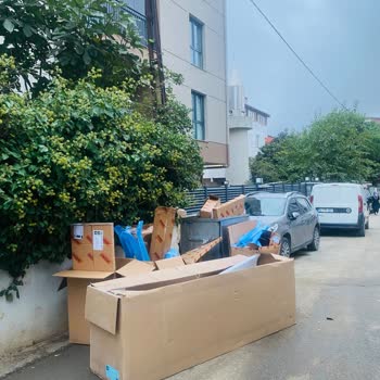 Bahçe Kapımın Önündeki Çöp Konteyneri Nedeniyle Yaşadığım Rahatsızlık Ve Kaldırılma Talebi