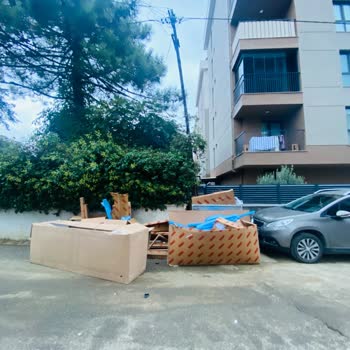 Bahçe Kapımın Önündeki Çöp Konteyneri Nedeniyle Yaşadığım Rahatsızlık Ve Kaldırılma Talebi