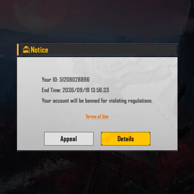 Request For Ban Removal And Account Reconsideration