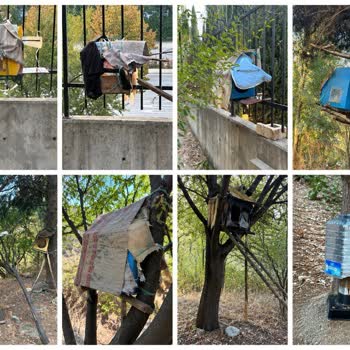Küçükçekmece Yürüyüş Parkurunda Kontrolsüz Kedili Yapıların Temizlenmesi Ve Hijyenik Barınak Talebi