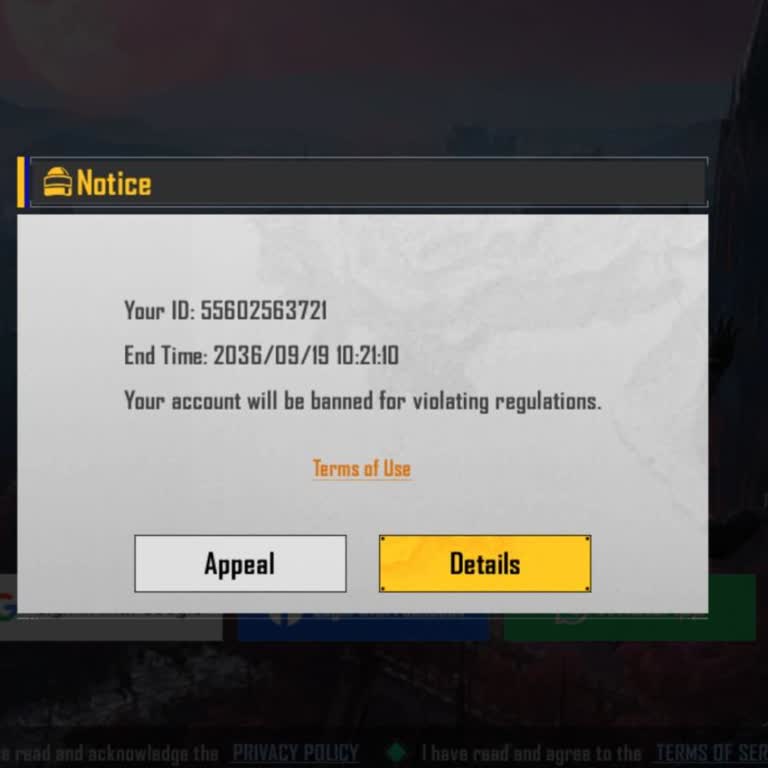 Battlegrounds Mobile India Manual Anti-Cheat Review Request
