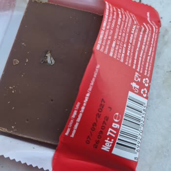 Kahve Dünyası Çikolatasında Böcek Tespiti Ve Hijyen Endişesi
