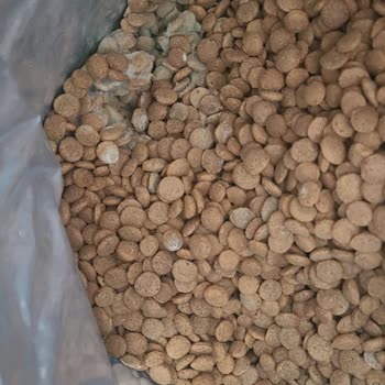 Son Kullanma Tarihi Geçmemiş Küflü Köpek Maması İçin Ücretsiz Değişim Talebi