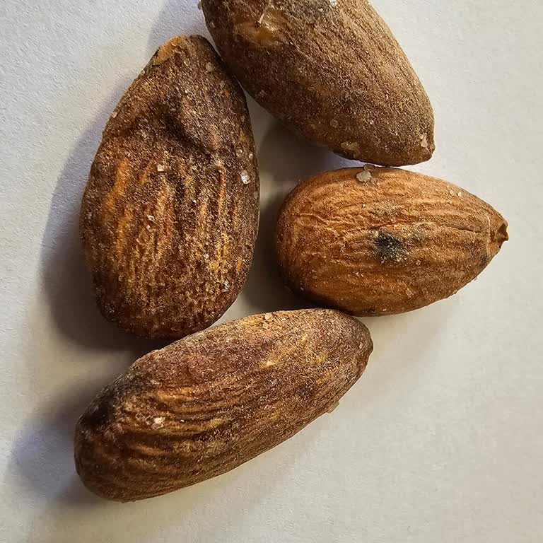 Bademlerde Çamur Benzeri Kirlenme Ve Ağızda Kum Hissi