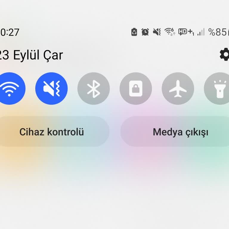 Adgager'da 150 TL Çekim Talebinin Onay Ve Transfer Sürecinin Uzunluğu