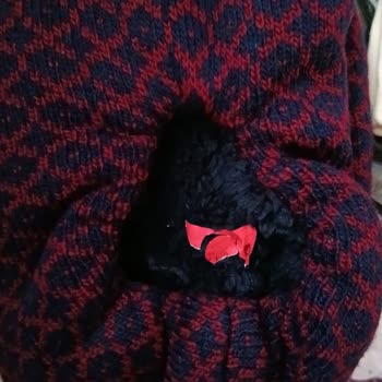 Yanlış Ve Defolu Ürün Gönderimi, Yetersiz Müşteri Hizmeti