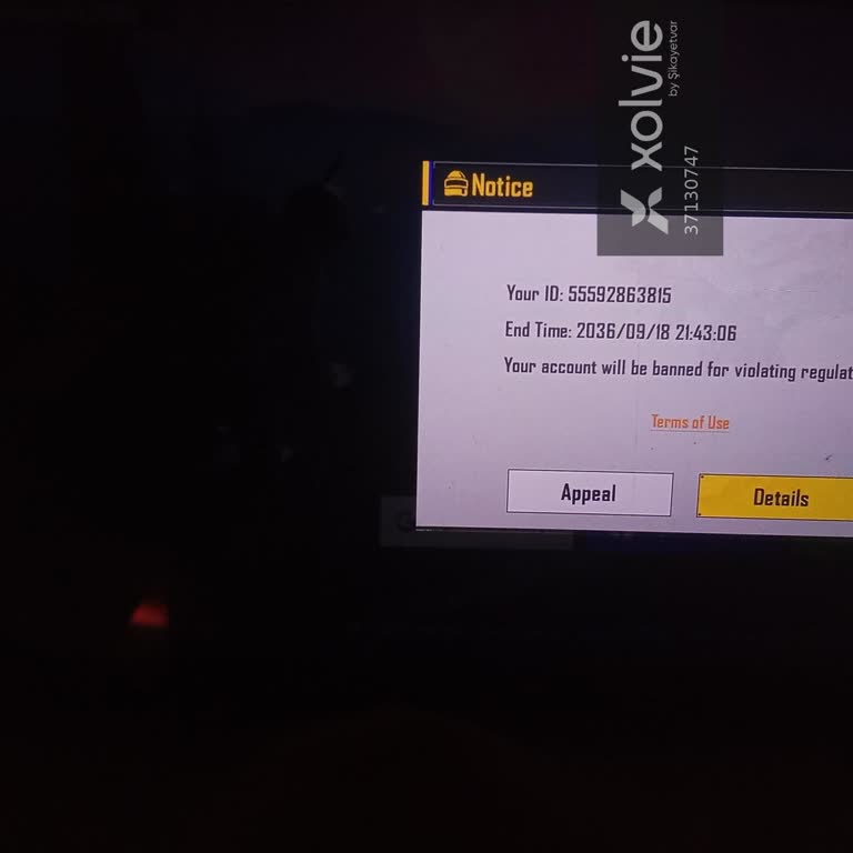 Battlegrounds Mobile India ID Banned Without Clear Reason