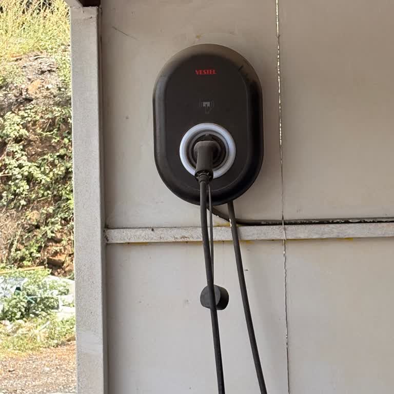 Vestel Şarj İstasyonu Çalışmıyor Ve Rol Takılmadı